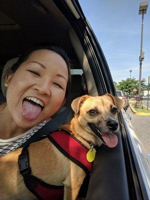 Toby loves car rides!