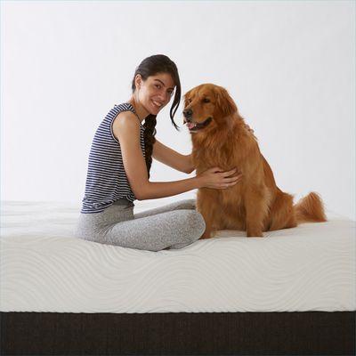 Our mattresses are even comfortable for your best friend!