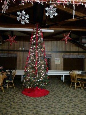 Love the lodge in December, with fire in the fireplace and decorated with tree and lights.