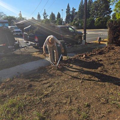 Bush Removal after