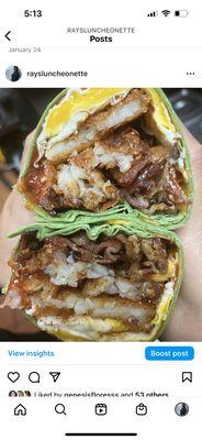 Hash brown wrap