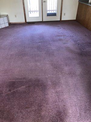 Mike's on the Spot Carpet Cleaning