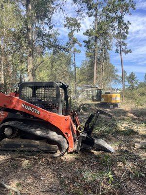 Clearing land