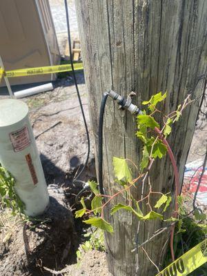 Broken cables from Comcast Xfinity for 2 years almost been above ground