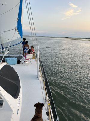 Sunset sailing onboard, private charters aboard Seas Life Sailing charters in Folly Beach. Call today to book your dolphin boat rental sail.