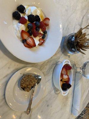 Yogurt with Granola and Fruit Side