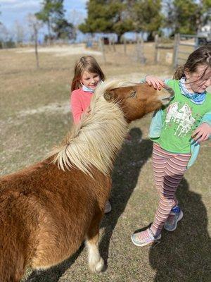 Orange Blossom Trail Rides