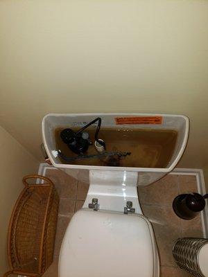 Nope. That water shouldn't be brown. Call a plumber today and schedule repairs for your plumbing system.