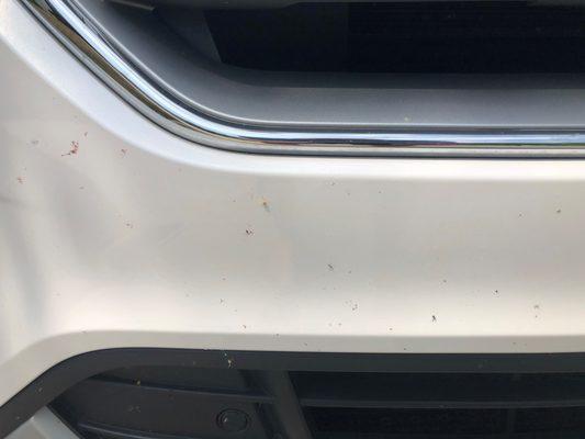 They just might not clean your car very well twice and they still did not clear off the bugs