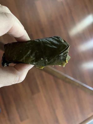 Dolma