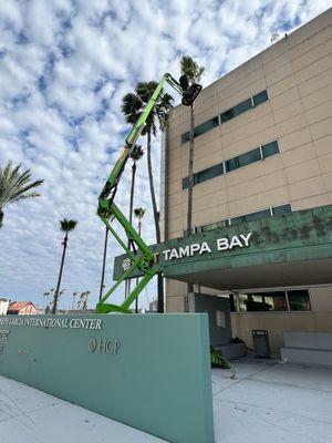 Tree Service Port of Tampa