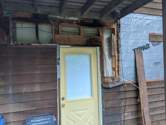 Exterior wall with moisture ant damage above the door