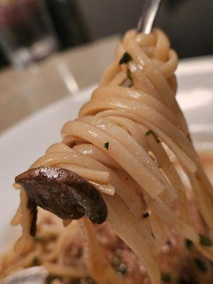 The Linguini on a fork with a freshly cooked mushroom being pulled out of the Marcella sauce and ready to be eaten and savored.