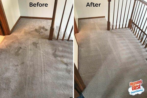 Heaven's Best Carpet Cleaning St George UT