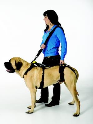 The Help 'Em Up Harness Shoulder Strap helps lift big dogs.