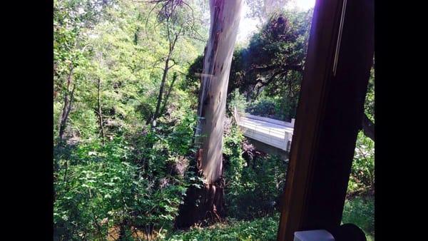 View of the trail from the chair!