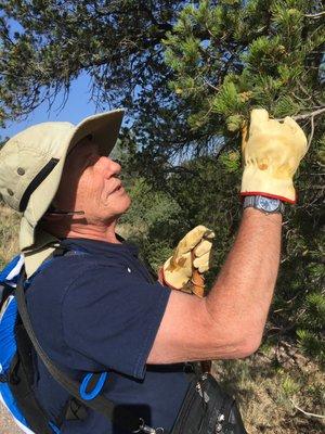 Fernando climbing to inspect tree damage to a home