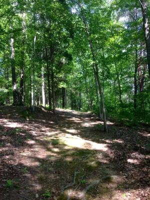 View of part of Beaver Trail.