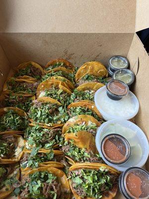 20 pack birria tacos