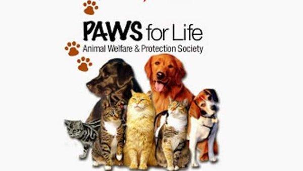 Paws for Life