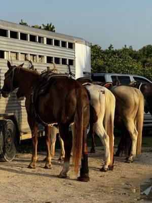 Ride the Beach on Horse Back