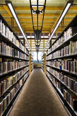 Bozeman Public Library Lighting