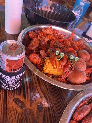 Mud Bugs