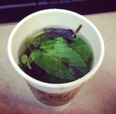 Look at all that mint in my tea!!!