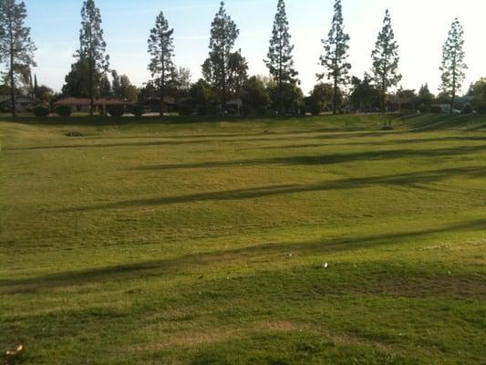 Large fenced in area being used a dog park for off leash dogs