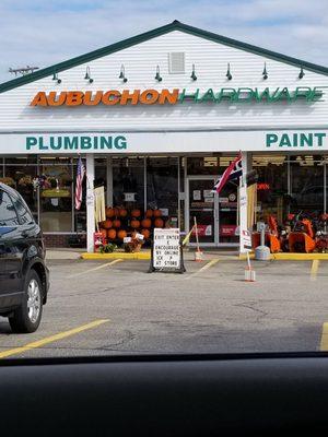 Great pumpkins for a great price!