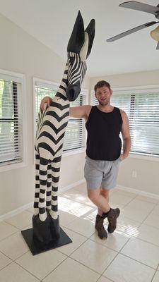 8ft tall zebra giraffe zebraffe