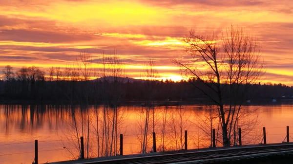 Spring has come to the Pacific Northwest early in 2015