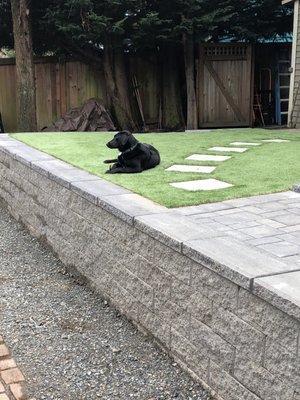 Astroturf addition for pets.