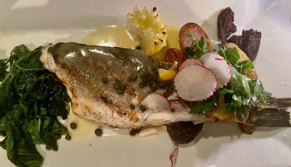 Grilled Branzino