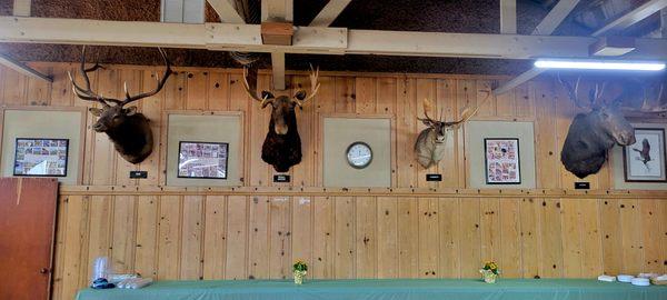 Main Hall - Animal Heads (10/09/24). #EscalonSportsmansClub #Escalon