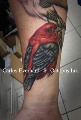 by Carlos Everhard at octopus ink, tattoos, mcallen, piercings,