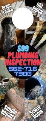 $99 Plumbing Inspection by Plunger Pro showing leaking drain, old water pipes, leaking shut off and sewer with root intrusion