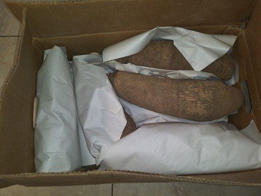 African Yam