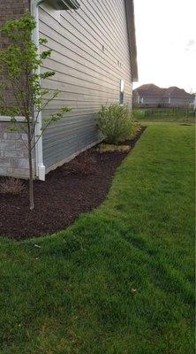 Hired Property Masters to clean up our beds in Spring and place new mulch.