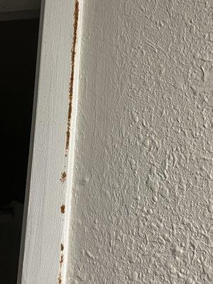 Rust? All over bathroom too.