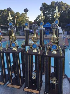 All Star Swimming trophies