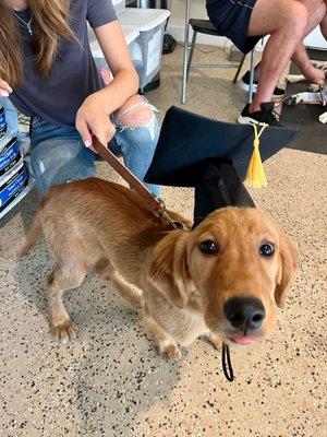 Puppy Kindergarten!