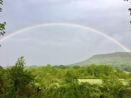 View from back porch