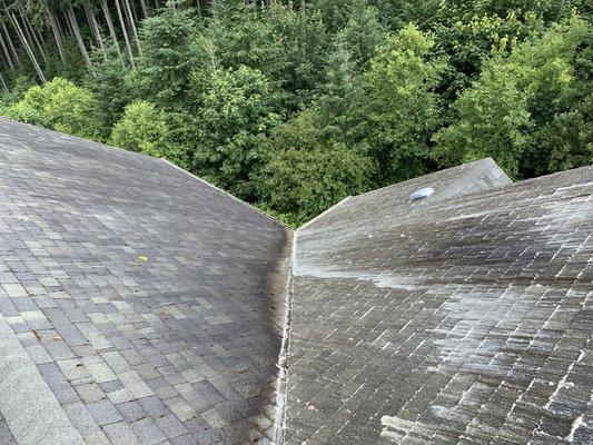 Moss treatments on roofs