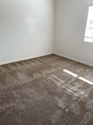 Clean carpet