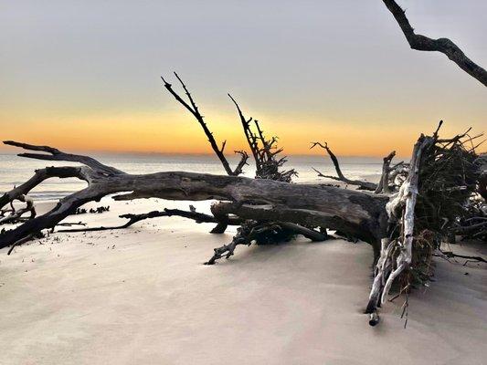 Boneyard beach, sunrise