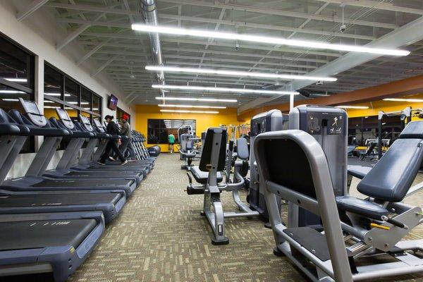 Variety of Cardio Machines