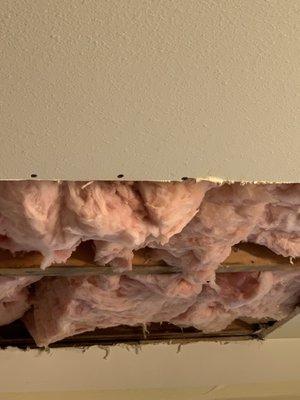 Replaced insulation