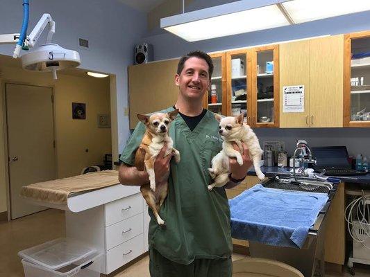 Dr. Hurty with his chihuahuas - Daisy & Ursa.