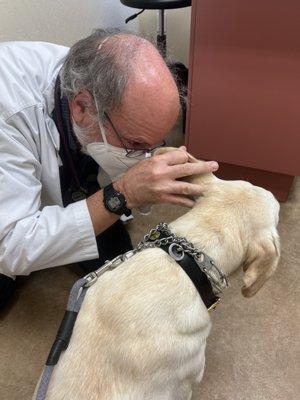 Lots of love and treats during her 1st visit/annual checkup.